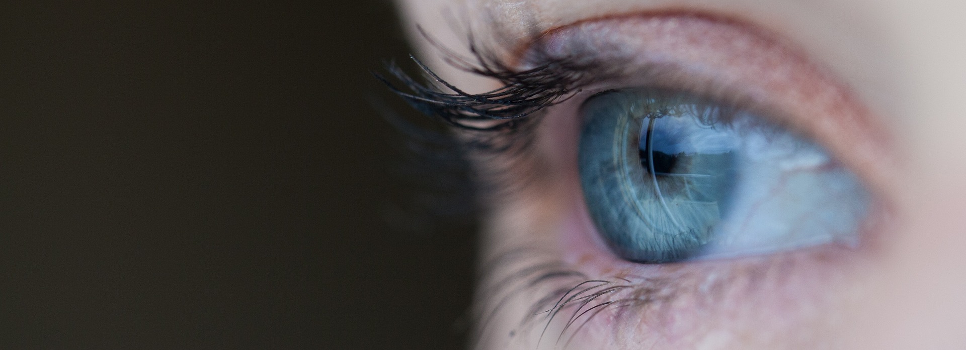 la puissance du regard