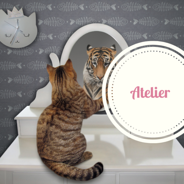 perception_psy_atelier_les_4_piliers_de_la_confiance_en_soi